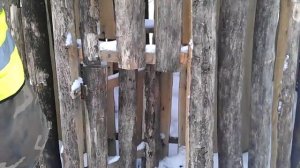 ловушка для волков