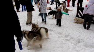 Хасячье царство на Тальковом камне