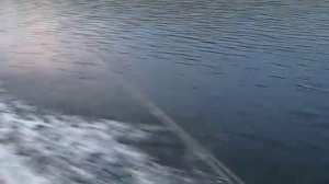 Suzumar 360 AL + Suzuki DT 8