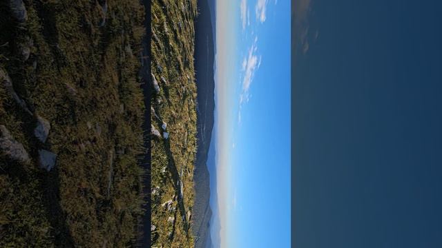 Кавказский заповедник,  Лаго-Гаки #shorts смотреть онлайн