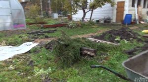 Экопарковка | Преображение дачного участка