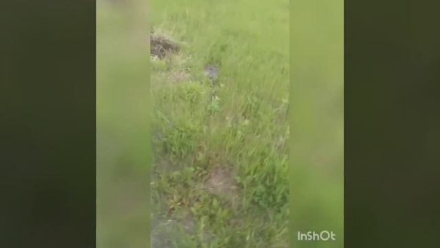 Коп металла/ прилично много хорошего металла смотреть онлайн