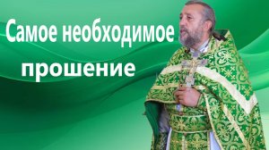 САМОЕ НЕОБХОДИМОЕ ПРОШЕНИЕ. Священник Игорь Сильченков.
