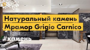 Натуральный камень: мрамор Grigio Carnico