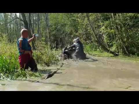 Kawasaki brute Force 750 mudding