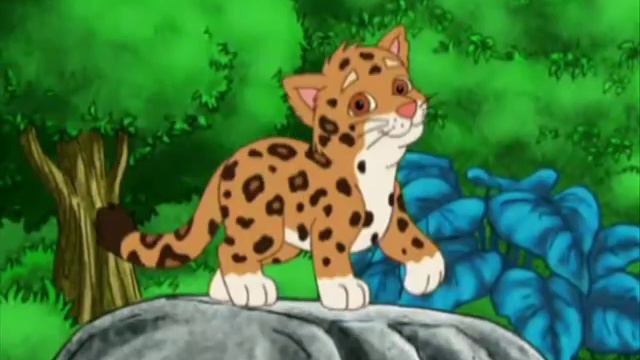 Go Diego Go Jaguar Mountain Everyday Song смотреть онлайн