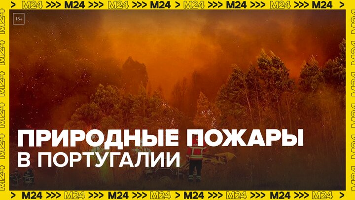 Cемь человек погибли в результате природных пожаров в Португалии  — Москва 24