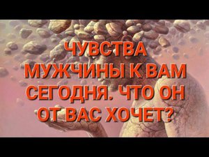 ❤️ЧУВСТВА МУЖЧИНЫ К ВАМ СЕГОДНЯ. ЧТО ОН ОТ ВАС ХОЧЕТ?