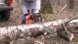 НИВА и валежник в лесу