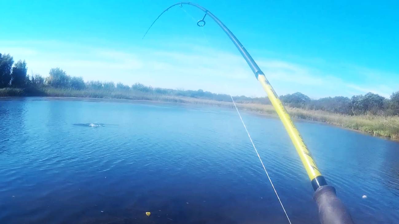 В пойму за щукой при полной луне и сильном ветре.