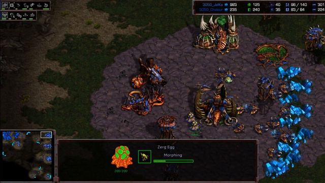 StarCraft Remastered 스타크래프트 3050_JelKa vs 3050_Chaleur ( Zerg vs Terran ) 星际争霸 смотреть онлайн