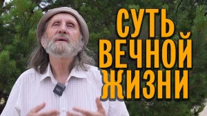 Суть вечной жизни