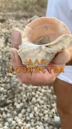 Для хозяйства