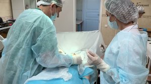 Маммолог Александр Братик