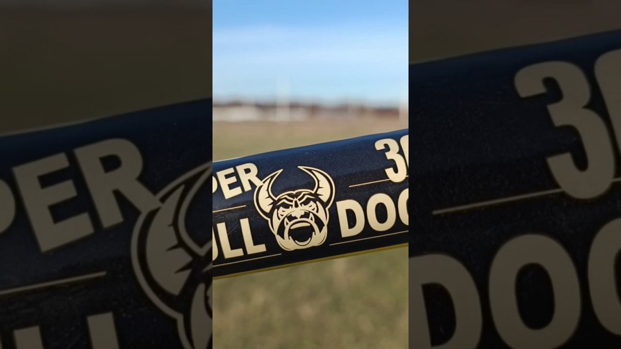 SUPER BULL DOG / ТЕСТ ПЕТАРДЫ / МОЩЬ #пиротехника #взрыв #петарда #петарды #топ #корсары смотреть онлайн