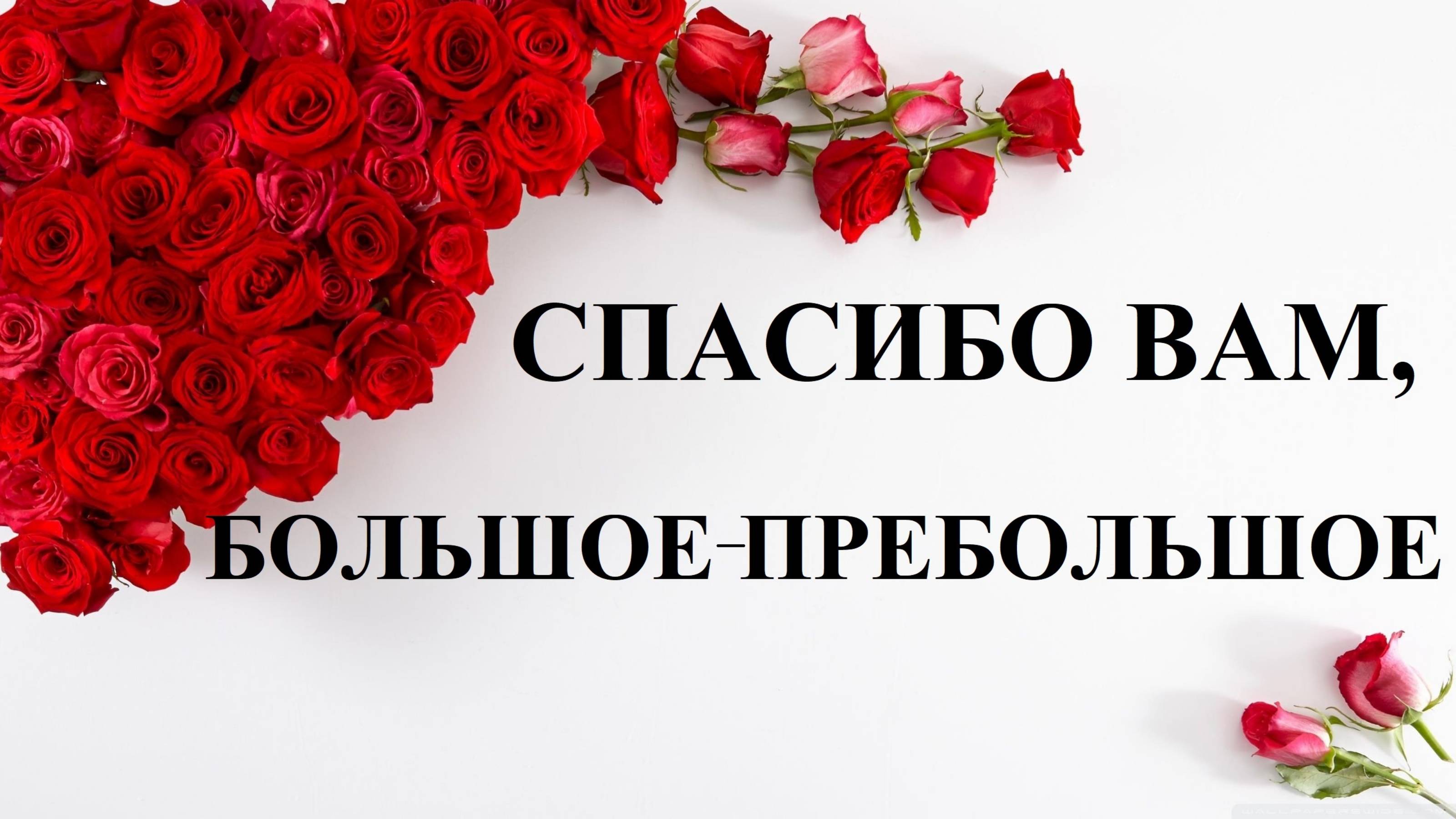 Песня: Спасибо Вам большое пребольшое! #СпасибоВам#Спасибовамбольшоепребольшое#песня#музыка#спасибо