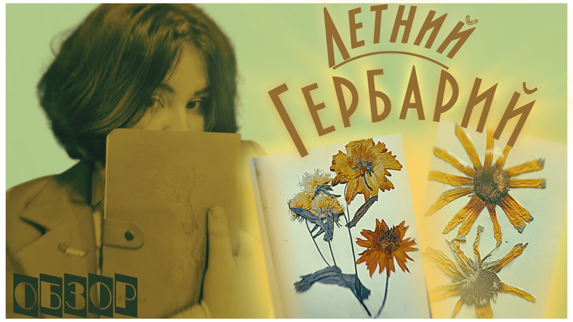 Как сделать гербарий
