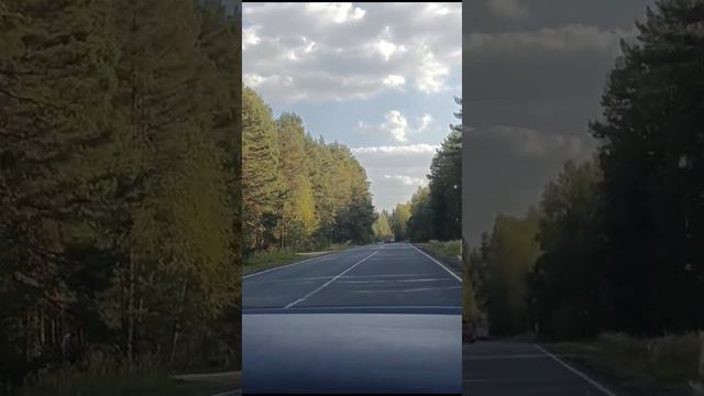 Переславль Залеский  Ул. Петра Первого