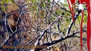Монетный. Крушение дрона DJI Mini 2, косяк Litchi режим Follow.