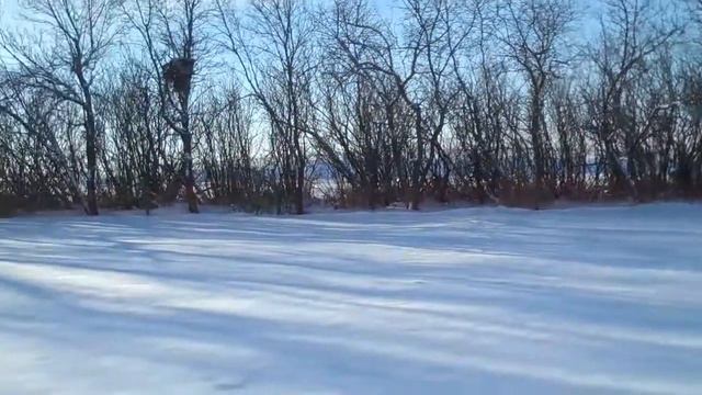 REVISED Rusted Pyre shooting location 1 of 2 смотреть онлайн