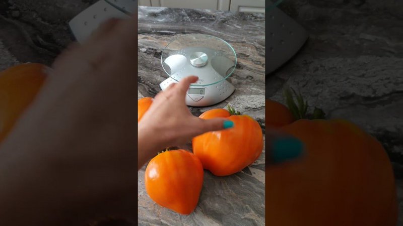 Жёлтый с озера Брет. Очень редкий сорт.