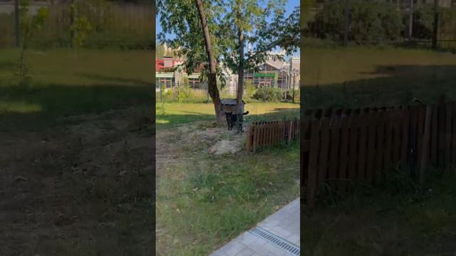 Видеозаметки о жизни нашего прихода_храм свт. Николая в Щукине