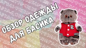 Обзор одежды басика.