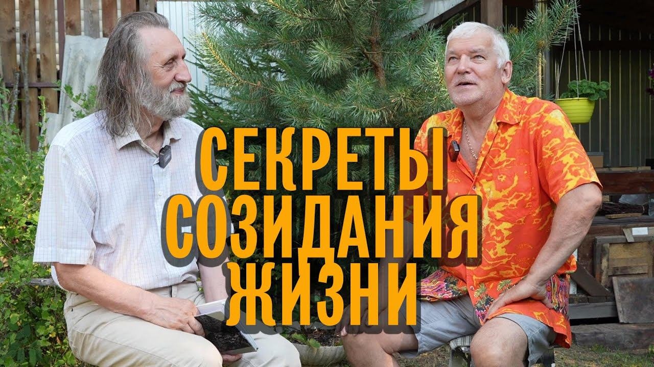 Секреты созидания жизни