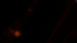 Космос с Сэмом Нилом 4 серия