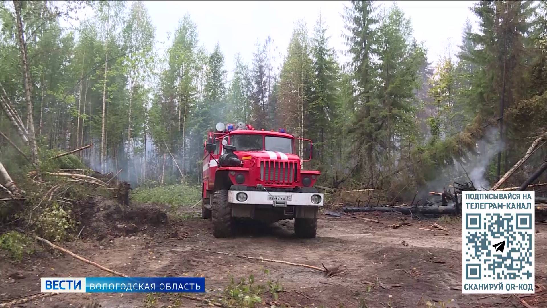 12 лесных пожаров за неделю произошло на территории региона Вологодской области