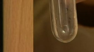 Кинетика, термодинамика. Влияние площади поверхности на скорость реакции