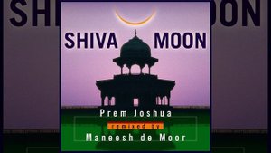 Omar (Purple Turban Mix) (feat. Maneesh de Moor)