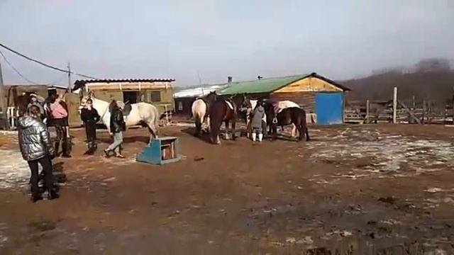 Открытие месяца / Конный двор "В гостях у Феди"