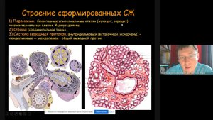Ультразвуковая диагностика патологии слюнных желез Часть 1 2021 11 19 at 04 01 GMT 8
