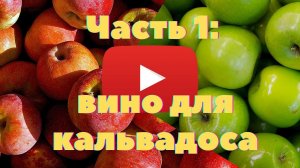 Часть 1  Вино для кальвадоса