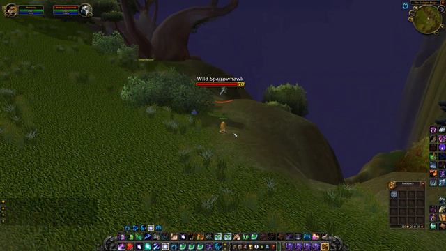 To Catch A Sparrowhawk WoW TBC Druid Quest