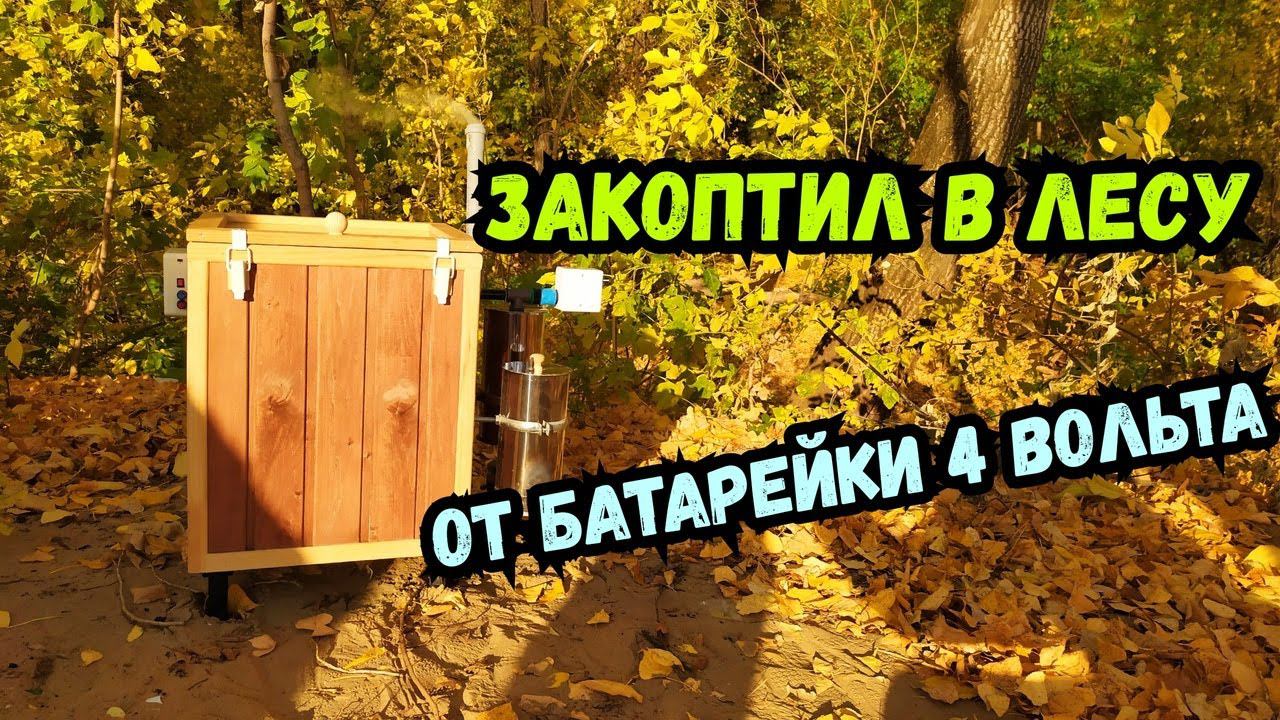 Электростатическая коптильня 22кВ от аккумулятора 4 вольта. Горбуша холодного копчения в лесу!