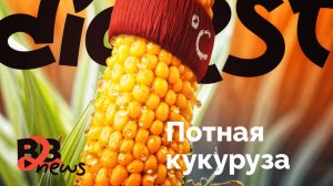 Летающие такси, бизнес без интернета и потная кукуруза | BirdsBuild дайджест #19