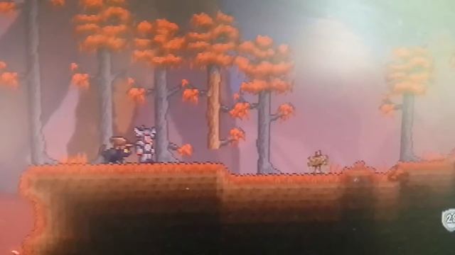 Баг с деревом (terraria)