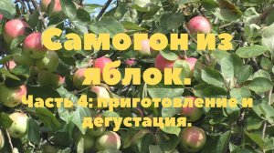 Часть 4 Самогон из яблок, разлив и дегустация полученного напитка;)