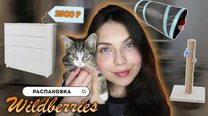 Вещи для Дома и для Котика с Вайлдберриз и Озона