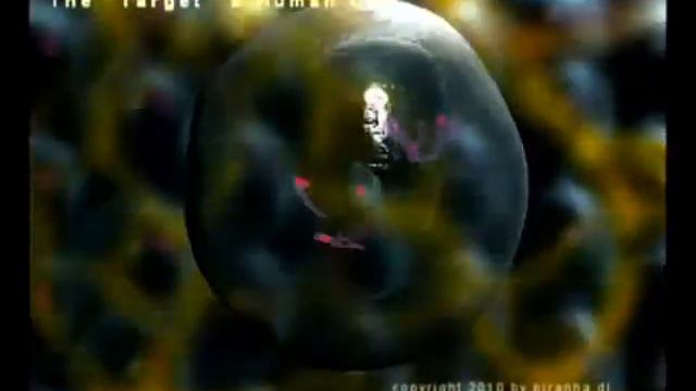 proyecto de biologia."COLEGIO MONTUFAR"wmv смотреть онлайн