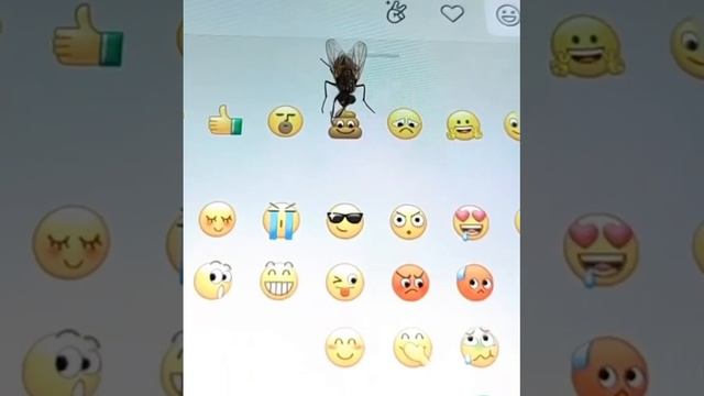 Мухи не ошибаются смотреть онлайн