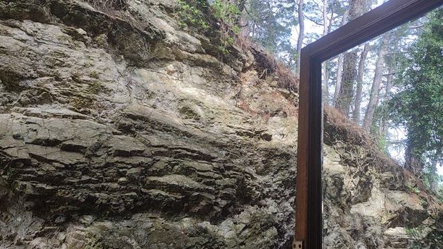 Дача Сталина VID20240601162501