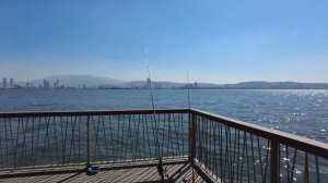 Walking Tour in Izmir Alaybey to Muammer Aksoy Park: A Fishermen's Journey