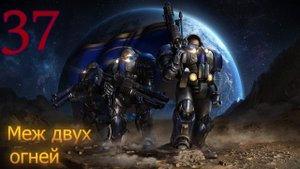 Starcraft Remastered. #37. Меж двух огней.