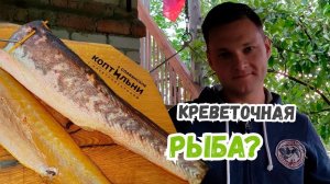 Закоптил КОНГРИО? Что за рыба? Электростатическая коптильня! Холодное копчение за 27 минут!