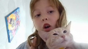 VID_20240918_192921.mp4