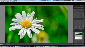 Easy macro editing tutorial in Lightroom - Technpix