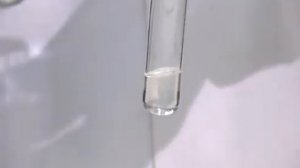 Аминокислоты, белки. Биуретовая реакция белков